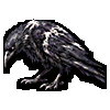 Mire Crow
