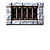 Supervised Issue Cage // name