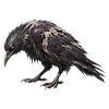 Mire Crow