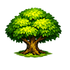 Plain Tree